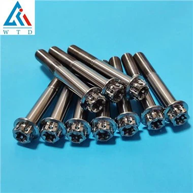 Sgriwiau Aloi Titaniwm